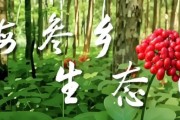 春节将至，线上买年货，这些快递春节安排及收费要知道