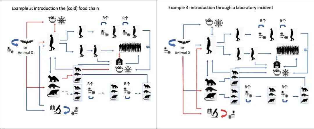 疫情溯源_华南海鲜市场不是疫情发源地_新冠病毒溯源报告
