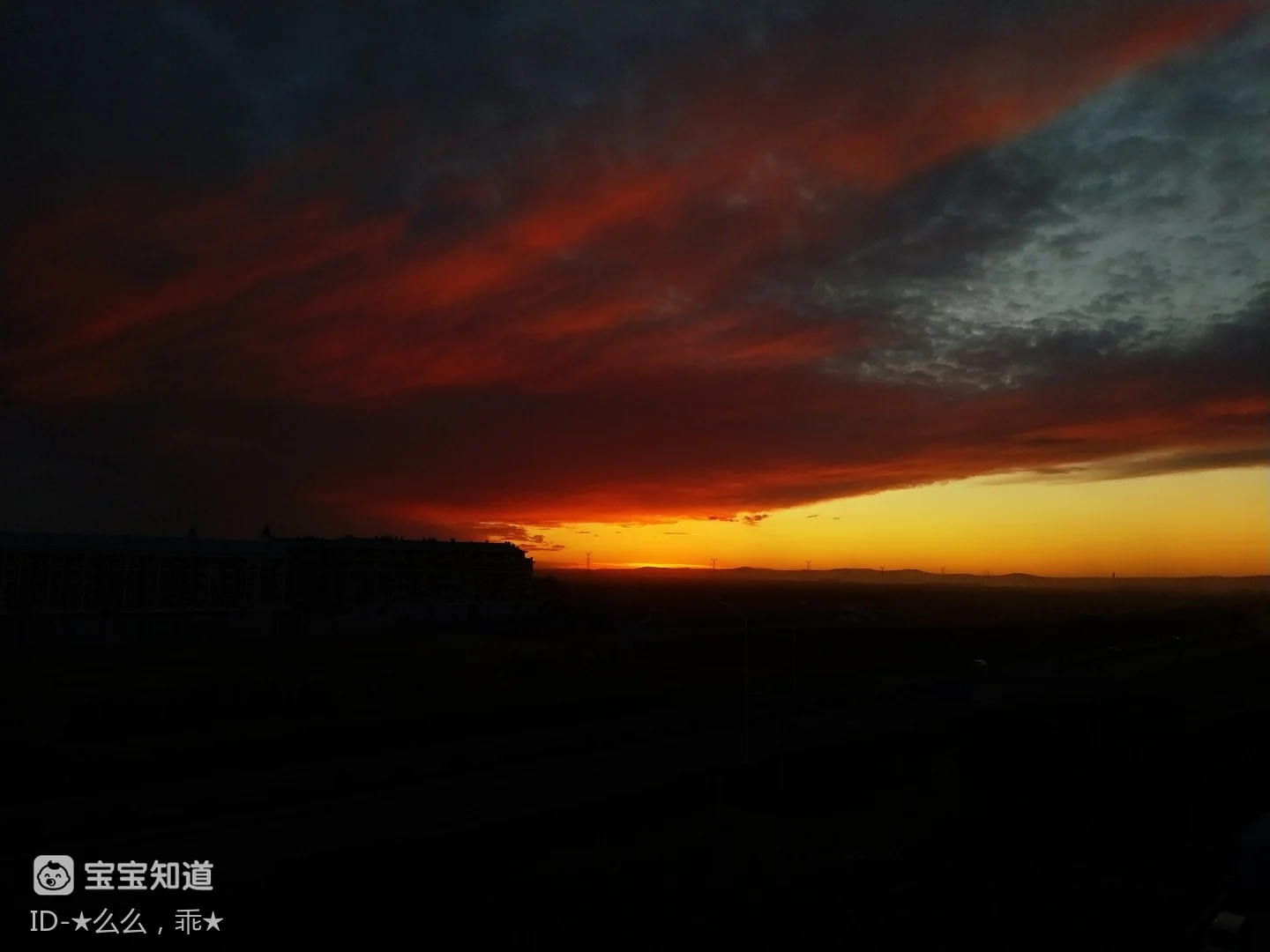 全球疫情_中国速度体现_中国抗疫成就