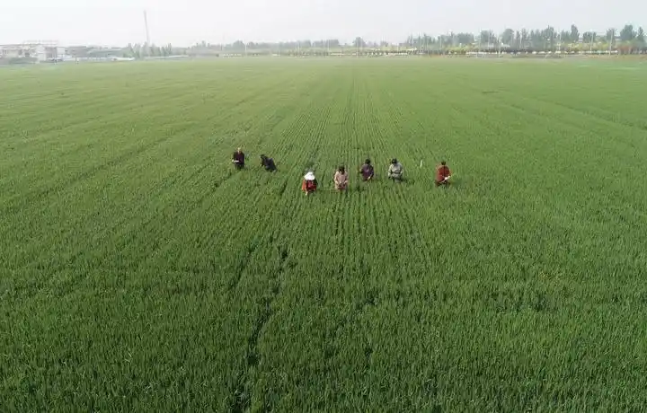 中国经济逐步企稳回升分析_疫情冲击中国经济影响_疫情冲击