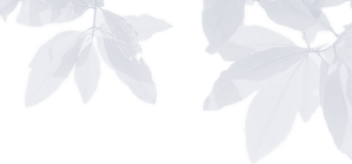 冬奥会绿色环保小细节 低碳场馆体现可持续发展