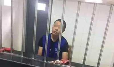 全国首例王者荣耀游戏外挂入刑案，制作者获刑并处罚金