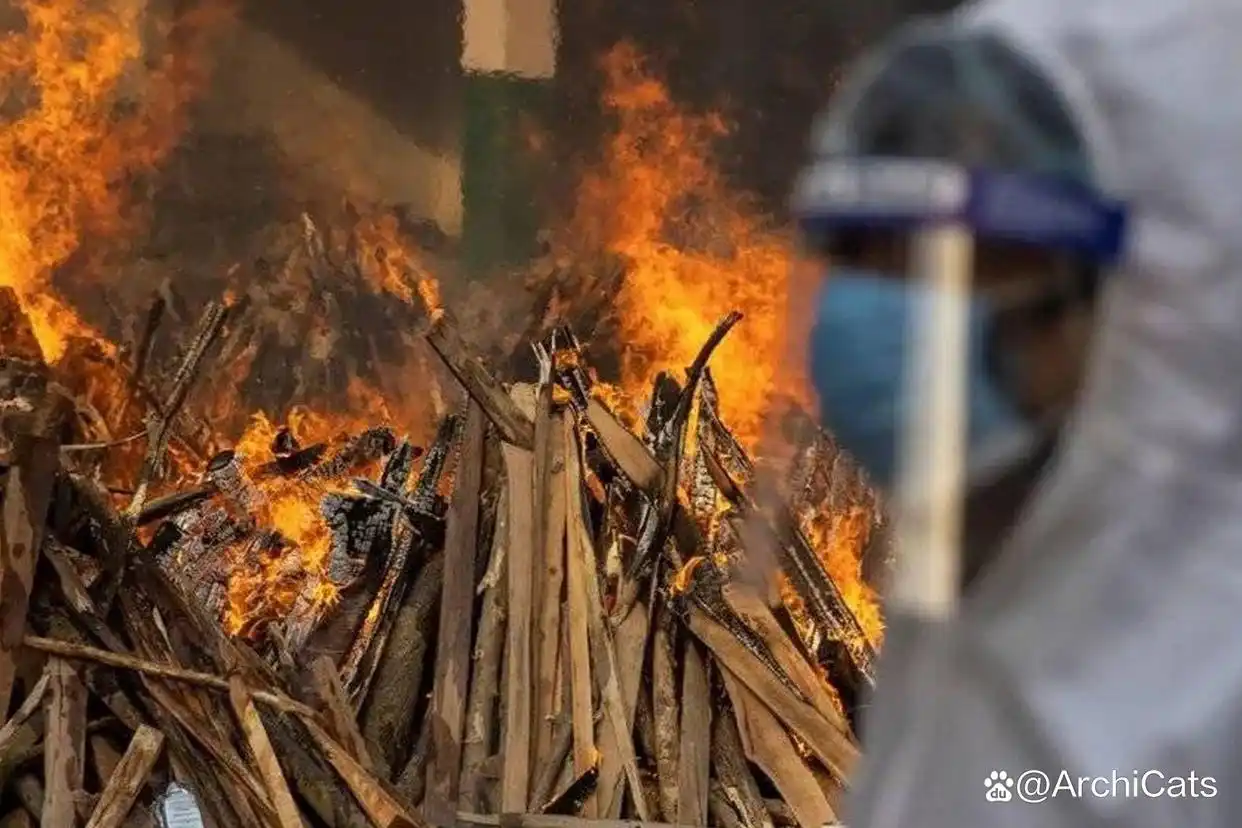 中国历史上的瘟疫有哪些？新冠疫情还要持续多久？