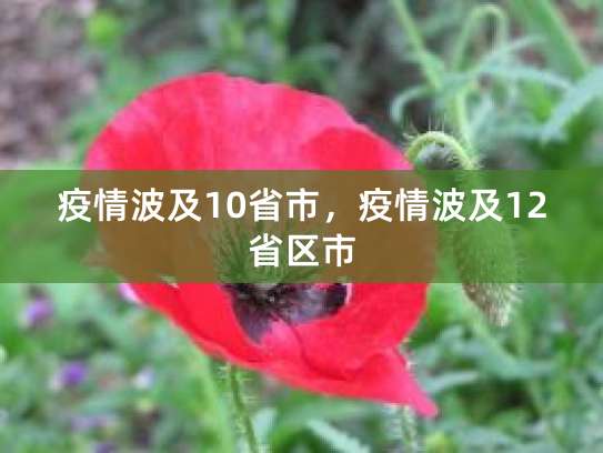 国内疫情波及多省市，传播范围扩大防控压力增大