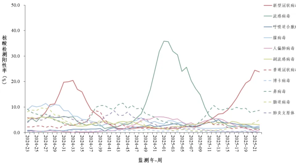 2025年5月全国急性呼吸道传染病哨点新冠等病毒监测情况