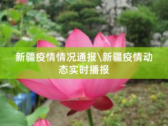 库车疫情严重吗？2022年11月及此前库车疫情情况汇总